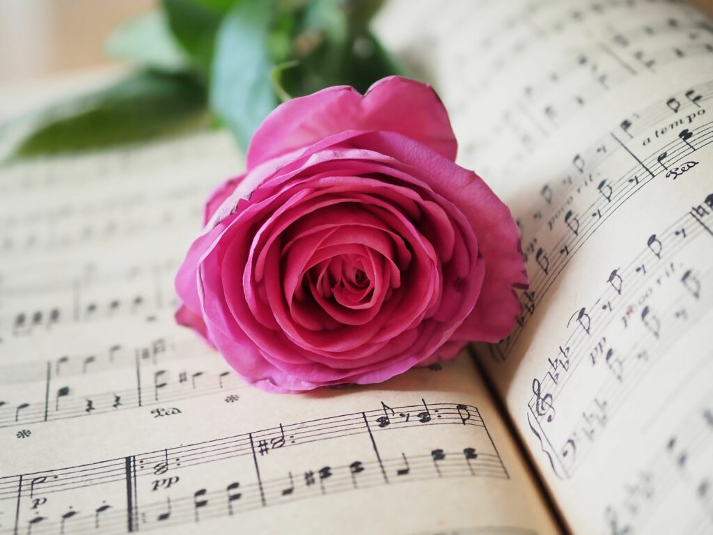 Rose rose sur une partition. Mariage
